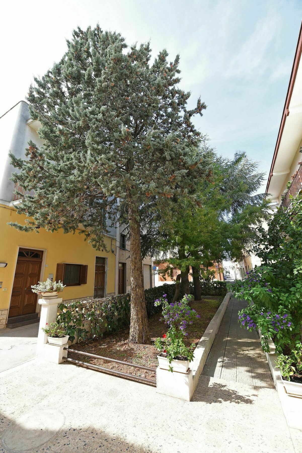 Villa Ricciardi-Suite Famigliare 1-Zona Ostuni Montalbano  Εξωτερικό φωτογραφία